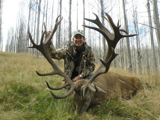 Big Stag Success Poronui
