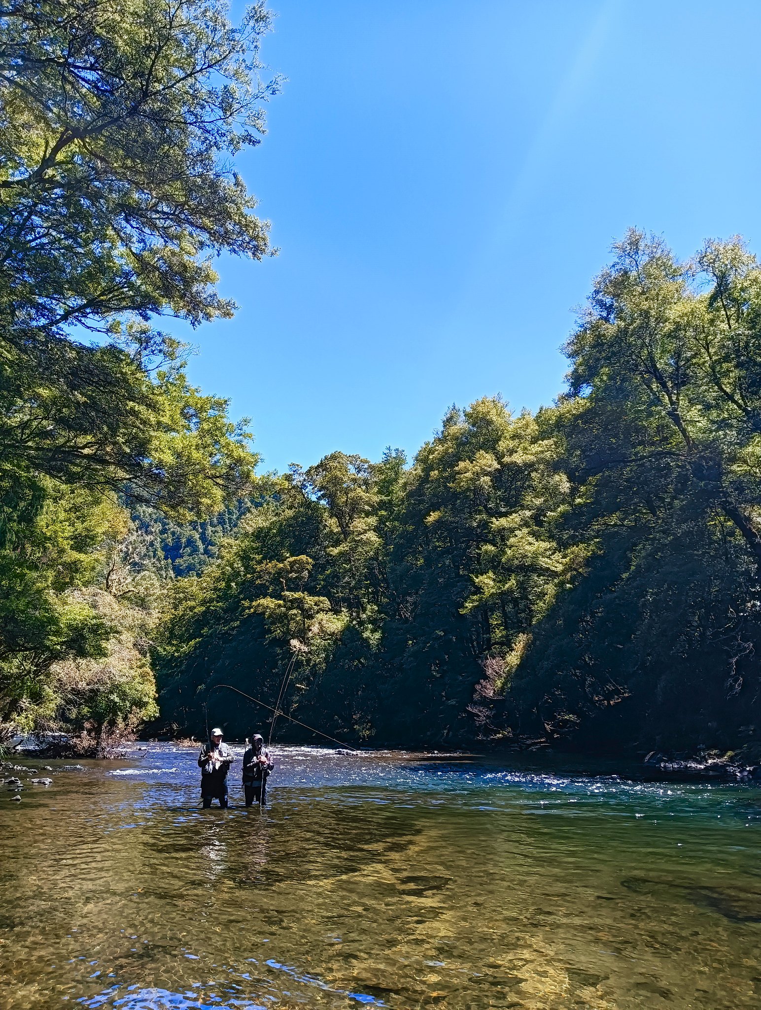 fly fishing in poronui